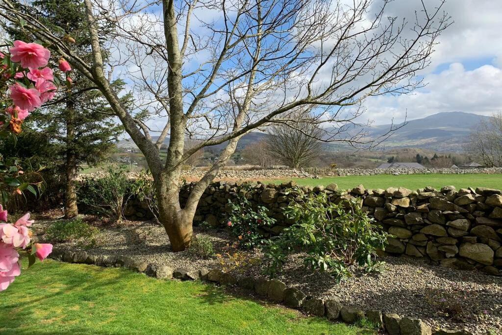 Snowdonia Cabin Карнарвон Экстерьер фото