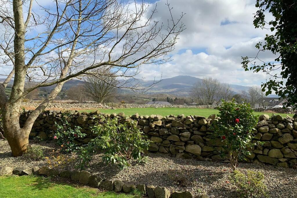 Snowdonia Cabin Карнарвон Экстерьер фото