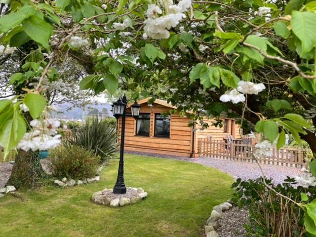 Snowdonia Cabin Карнарвон Экстерьер фото